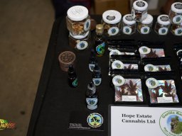 Cannabliss Events